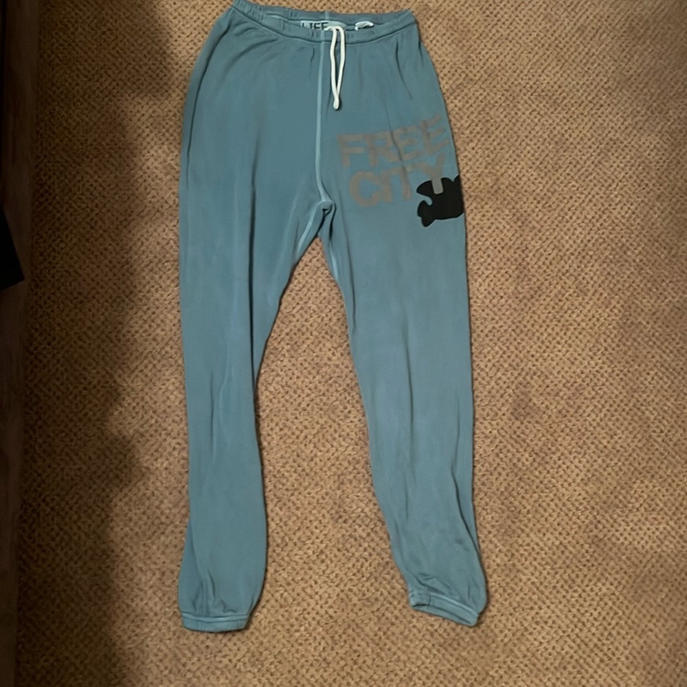 free city size small sweatpants. very comfy. no stains, has only been worn once
